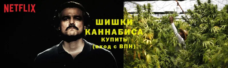 где можно купить   Бавлы  Каннабис Bruce Banner 